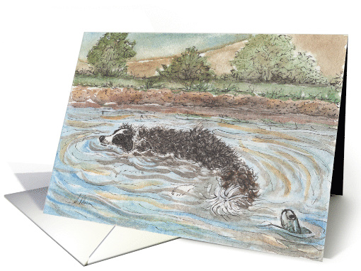 Crococollie, Border Collie Dog in a Lake, Blank card (1547218)