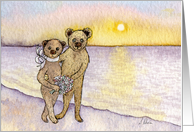 Teddy Bears in love, Blank card