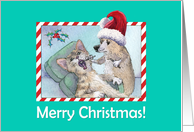 Merry Christmas, Cat at the Corgi Dog Dentist. card