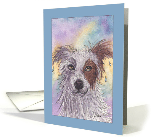 Dripping Wet, Red & White Border Collie, Blank card (1561260)