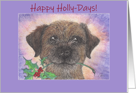 Happy Holly Days! Border Terrier Dog & Holly card