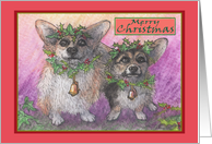 Welsh corgi dog with festive wreaths and garlands Merry Christmas card
