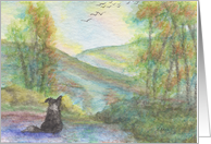 Border Collie dog looks up the hills for inspiration, landscape card