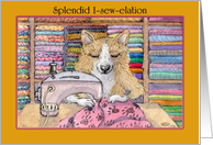 A Corgi Dog Keen on Sewing is Happy to be in Self Isolation card