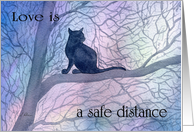 A Lucky Black Cat is Happy to Sit in a Tree -at a Safe Distance card