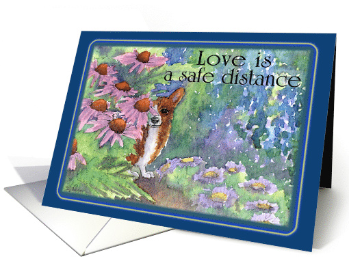 A Corgi Dog keeps a Safe Distance in the Garden during COVID19 card