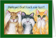 Please Don’t Touch Your Face during the Pandemic, 3 Wise Cats card