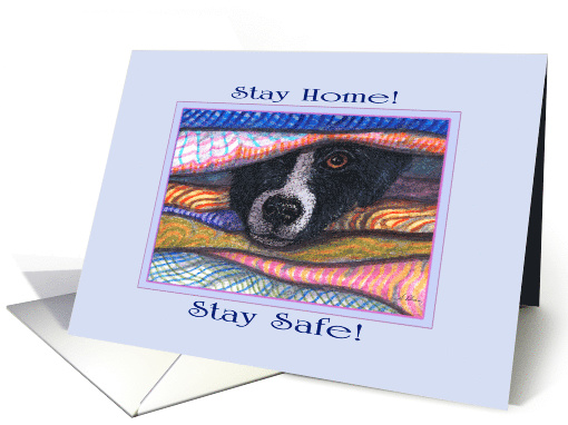 Stay Home! Stay Safe! Border Collie Dog in the Airing Cupboard card