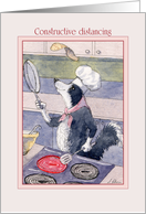 Border Collie dog practises his pancake tossing during the Pandemic card
