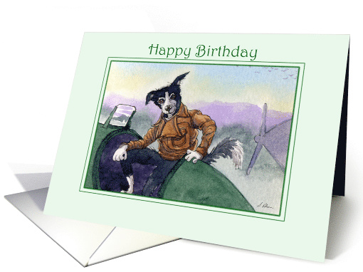 Happy Birthday, Border Collie Dog Pilot card (1619458)