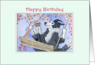 Border Collie Dog Swinging in the Blossom, Happy Birthday card