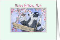 Border Collie Dog Swinging in the Blossom, Happy Birthday Mum card