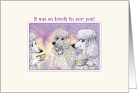 It was so Lovely to See You! 3 Poodle Dogs Drinking Tea and Chatting Friendship card