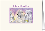 Let’s get Together, Three Poodle Dogs Drinking Coffee and Tea card