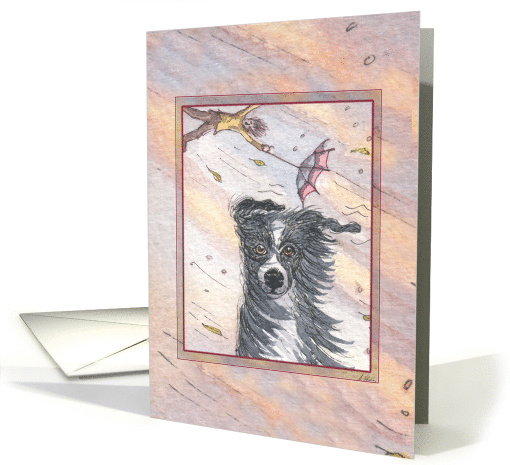 Border Collie Dog Sitting Firm in a Storm, Blank card (1629618)