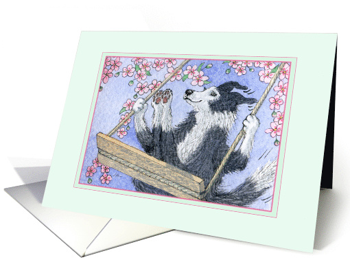 Border Collie Dog Swinging in the Blossom, Blank card (1629658)