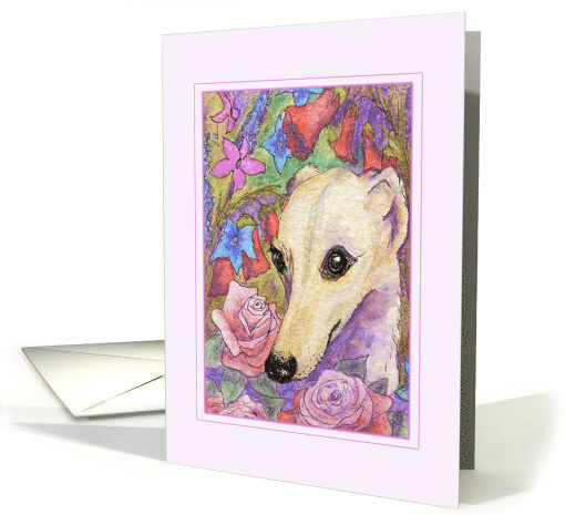 Shy Whippet Dog Hides in the Roses and Penstemon Flowers Blank card