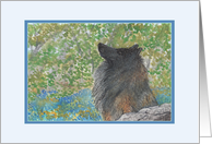 Belgian Tervuren Dog Enjoys the Atmosphere in Bluebell Woods card
