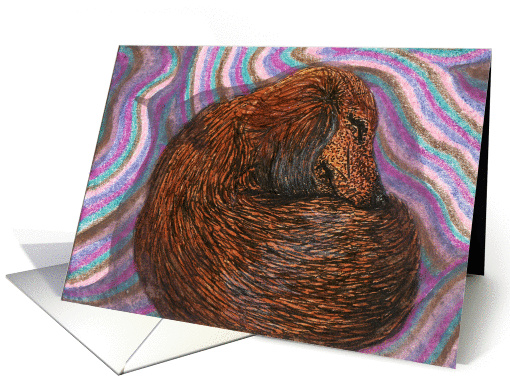 Snooze, dachshund card (295258)
