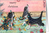 Merry Christmas, dog help with tree lights, christmas card