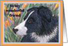 Blank paper greeting card notecard to my friend dog border collie flower card