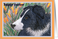 Happy Easter traditional paper greeting card dog border collie flowers card