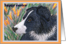 Happy Easter traditional paper greeting card dog border collie flowers card