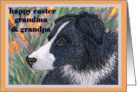 Happy Easter traditional paper greeting card to grandparents dog border collie flowers card