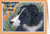 Happy Easter traditional paper greeting card to mom dog border collie flowers card