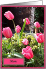 mother’s day card tulips card