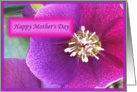 mother’s day card flowers card