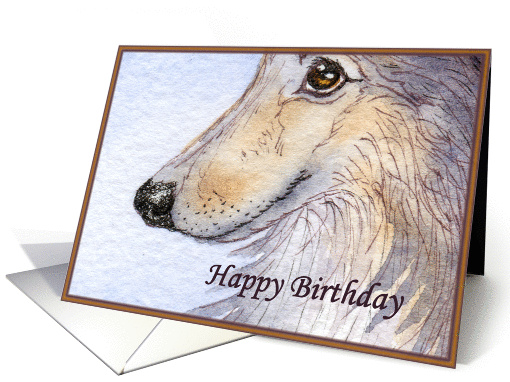 happy birthday paper greeting card sheltie card (404845)