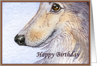 happy birthday paper greeting card sheltie card