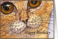 happy birthday paper greeting card cat card