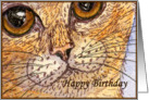 happy birthday paper greeting card cat card