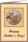 mother’s day paper greeting card orchid card