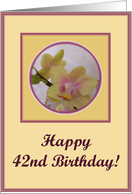 happy birthday paper greeting card 42 card