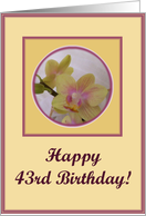 happy birthday paper greeting card 43 card