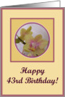 happy birthday paper greeting card 43 card