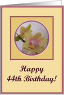 happy birthday paper greeting card 44 card