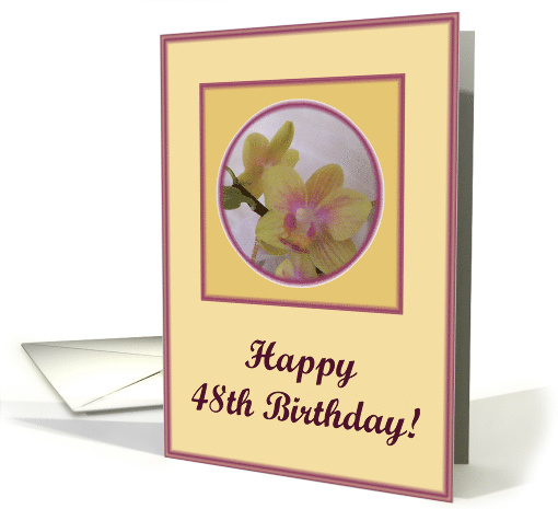 happy birthday paper greeting card 48 card (405566)
