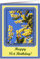 happy birthday paper greeting card 81 card