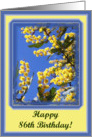 happy birthday paper greeting card 86 card