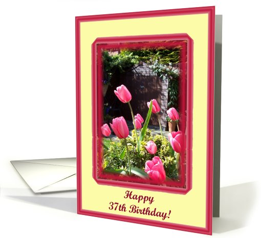 happy birthday paper greeting card 37 card (406310)