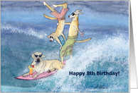 paper greeting card, birthday card, 8, eight, dog, card
