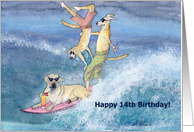 paper greeting card, birthday card, 14, fourteen, dog, card