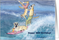 paper greeting card, birthday card, 36, thirty-six, dog, card