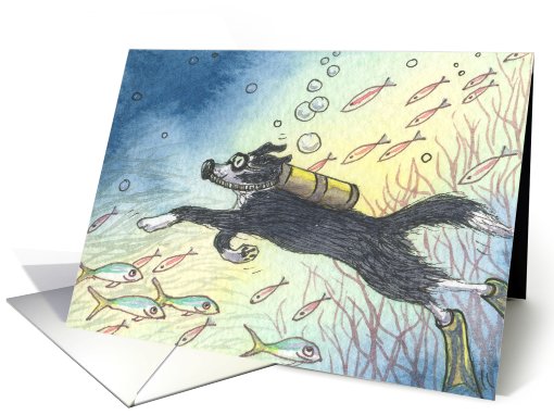 paper greeting card, blank, sport, snorkeling, card (427143)