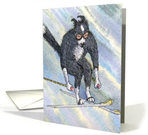 paper greeting card, blank, sport, ski, skiing, card (427144)