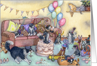 paper greeting card, blank, party, card
